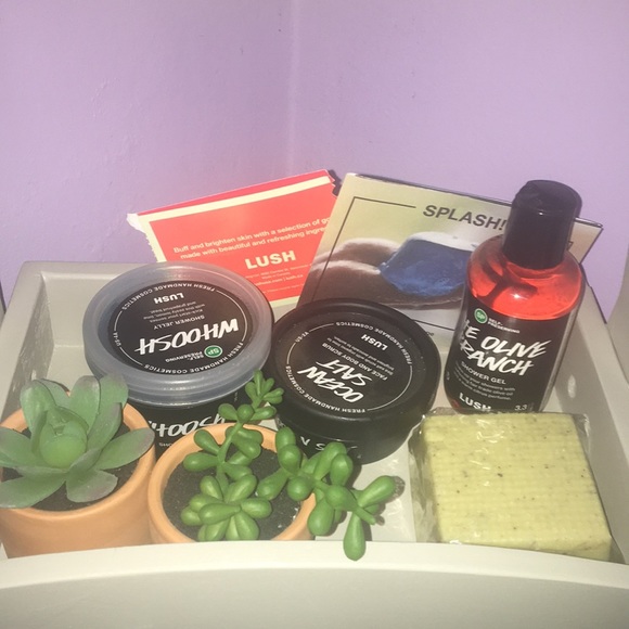 Lush Other - LUSH product bundle!! 😍